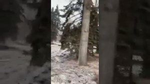 Мэр Липецка Уваркина ругается матом