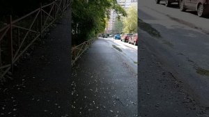 Так интересно гулять и не нервничать, идя с тяжелой тренировки