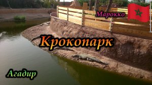 Агадир. Марокко. Крокопарк (крокодиловая ферма)