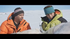 «К черту на рога» — фильм в СИНЕМА ПАРК