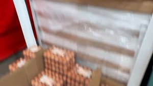 ЗАКУПКА ПРОДУКТЫ 2025 / COSTCO / Цены / Чек / АМЕРИКА