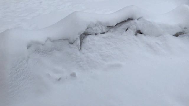 Зима. Январь 2021г., ч. 3. смотреть онлайн