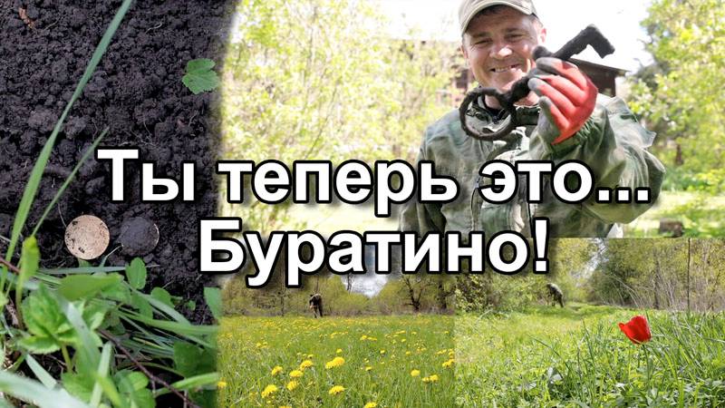 Ты теперь это... Буратино!