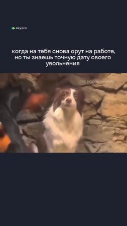 Монолог моей души уже все решил