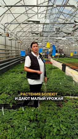 Растения болеют и дают малый урожай по ЭТИМ ПРИЧИНАМ.