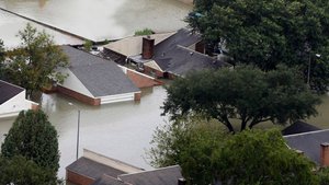 Сотни населенных пунктов ушли под воду в Австралии. Почти тысяча домов стали непригодными для жизни