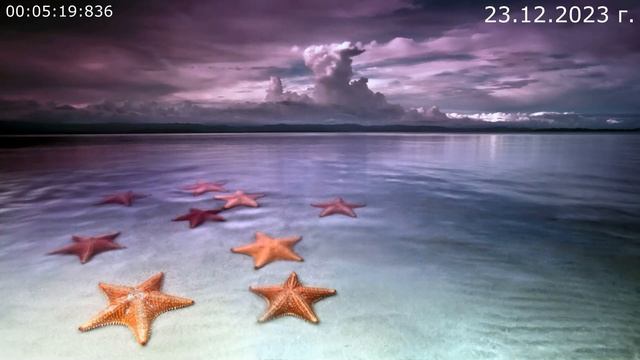 841 Твой мир вокруг 23.12.2023 г смотреть онлайн