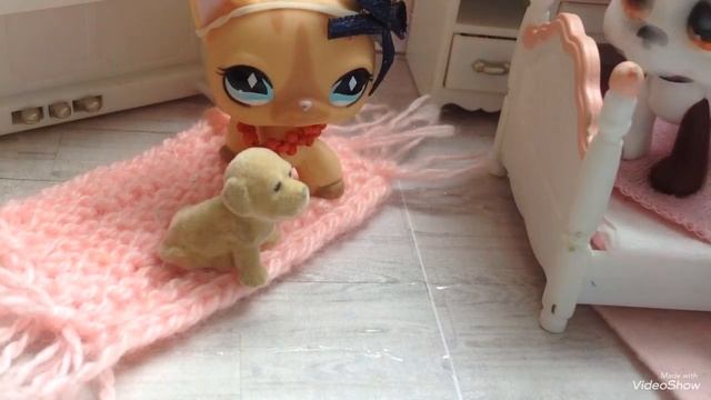 LPS:Случайности не случайны. 2 серия. смотреть онлайн