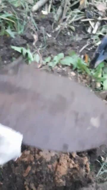 первый коп #металлоискатель #мд4030 #металлокоп #лопата смотреть онлайн