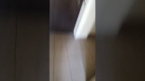 VID_20250527_182656.mp4