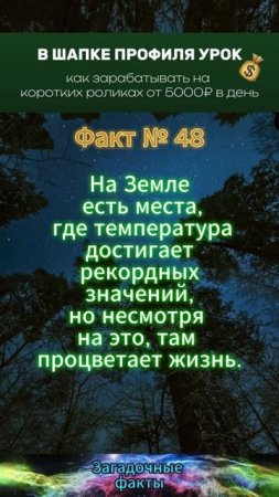 факт (5)
