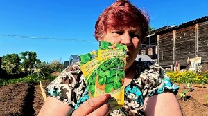 Сеем зелень и повышаем плодородие почвы!!
