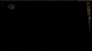 Реклама + анонсы на РЕН-ТВ(2). 13.01.2008г