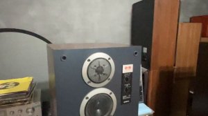 Колонки Onkyo D 5