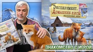 Знакомство с настольной игрой «ЭКСПЕРИМЕНТ. ДОМАШНИЕ ЛИСЫ»