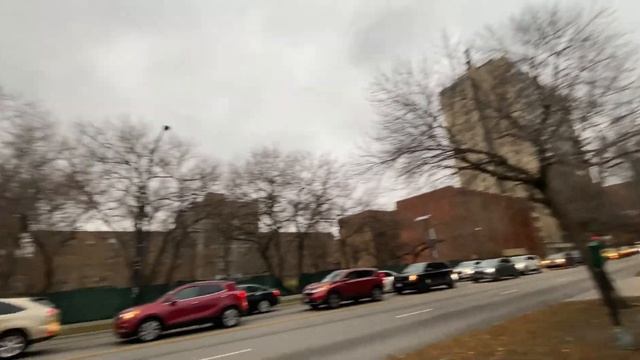 В поисках «человейников» в Чикаго смотреть онлайн