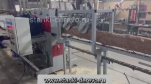 Фрезерно брусующий бревнопильный станок для тонкомера диаметром от 80 мм HECTOR MSM-320.