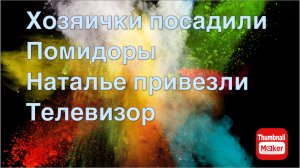 Всё в кучу. Хозяички посадили помидоры. Наталье привезли телевизор
