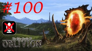 The Elder Scrolls IV: Oblivion #100  - Несчастный Случай