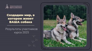 Результаты курса "Создадим мир, в котором живёт ваша собака"