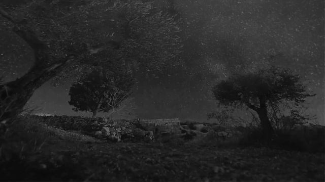 Песня 2024г. "Суламифь2- В тени святого храма" Кибер_Тень смотреть онлайн