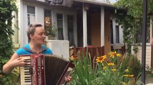 Ах, Самара-городок #песни #гармоньвидео #аккордеон