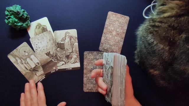 ТЕЛЕЦ. С 10 ПО 20 МАЯ 2025 ГОДА. ТАРО ПРОГНОЗ смотреть онлайн