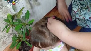 Заплетаем косички. Дракончик