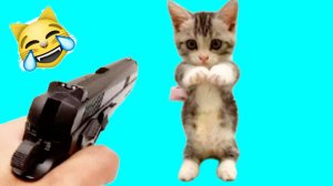 ПРИКОЛЫ С КОТАМИ😹 СМЕШНЫЕ КОТЫ И СОБАКИ🐶😹 СМЕШНОЕ ВИДЕО С ЖИВОТНЫМИ, ЮМОР #13
