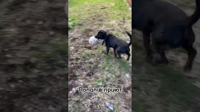 Как дела у Джема? Он попал в список на скорый выпуск на улицу