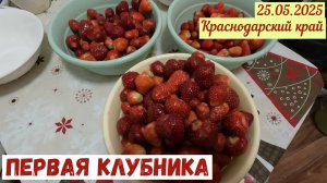 Краснодарский край(25.05.2025). Первая клубника. Работы на участке продолжаются.