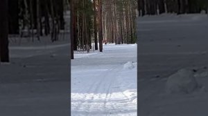 Злата 7 лет, первый год обучения лыжным гонкам