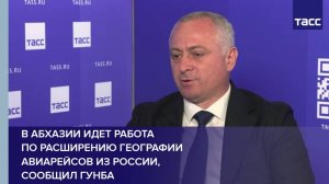В Абхазии идет работа по расширению географии авиарейсов из России, сообщил Гунба