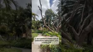 Витамины Д3 и К2. Новый нормы дозировки. Как принимать.