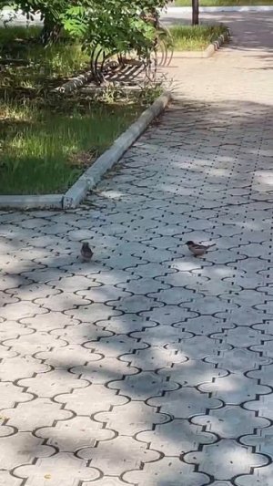 Когда настали солнечные деньки и ты можешь прогуляться перед парами по университетскому кампусу ОГУ