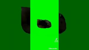 УЕЕИИААИИ КОТ КРУЖИТСЯ НА ЗЕЛЕНОМ ФОНЕ 10 МИНУТ 🟩😺