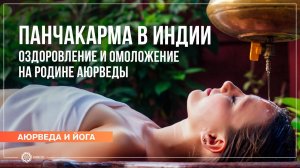 ПАНЧАКАРМА в ИНДИИ. Оздоровление и омоложение на родине Аюрведы