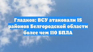 Гладков: ВСУ атаковали 15 районов Белгородской области более чем 110 БПЛА