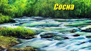 Сосна