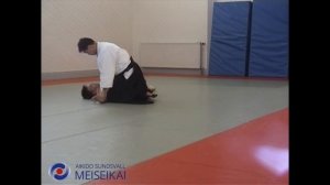 39 Aikido Suwariwaza Ryotedori Kokyoho Shishiya Sensei Sandviken 2002
