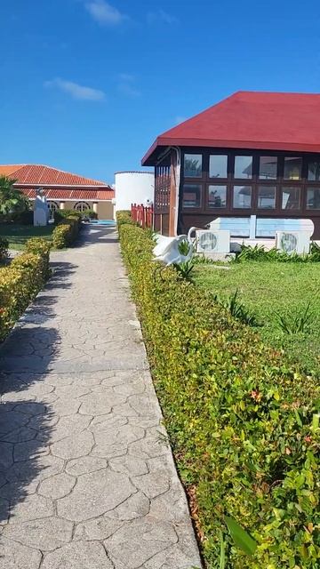 Куба. Тощий аист смотреть онлайн