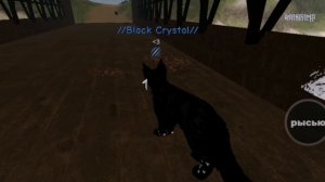 Я ВЫЗВАЛА ПОДВОДНИЦУ В WCUE! Страшный миф о Подводнице☄️🐾...//Black Crystal//🕸️