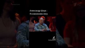 Александр Шоуа. Я в весеннем лесу