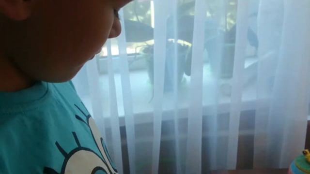 Моя домашняя Лавка РОЗЫГРЫШ браслетов!!! смотреть онлайн