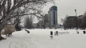 КРЫМ ЗАВАЛИЛО СНЕГОМ / Лебеди на ЛЬДУ / Симферополь