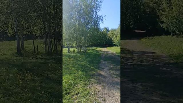 Наслаждение природой