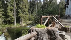 Болгария, Царская Быстрица