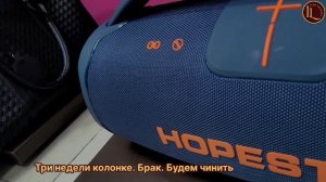 Сверчки внутри колонки Hopestar a65. Будем ремонтировать бр
