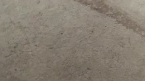 Моя коллекция DVD-Дисков (Часть 3)