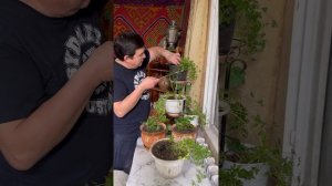 Сочная утка в сливочно-чесночном соусе — Простой и вк?